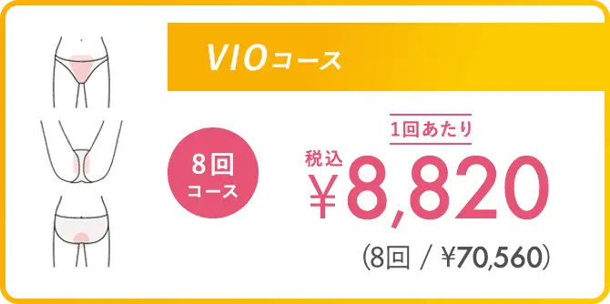 VIOコース