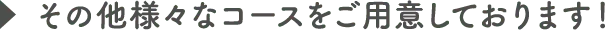 その他様々なコースをご用意しております！